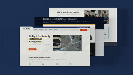 BitSight Stacked Site Screens